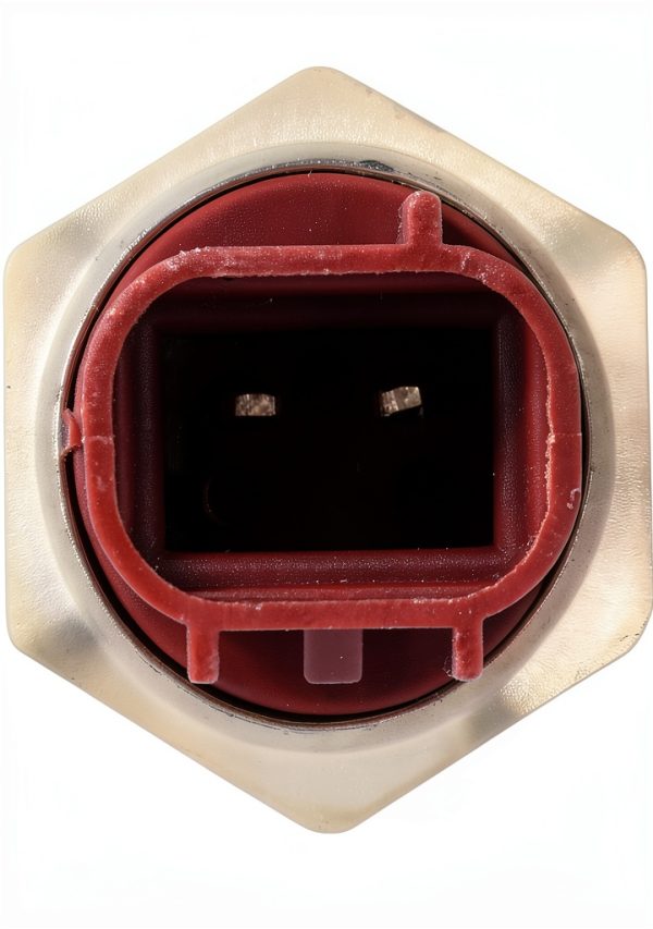 ApplianPar Automatic Radiator Cooling Fan Switch-2